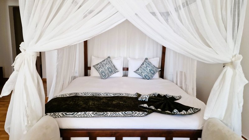Dream of Zanzibar 19