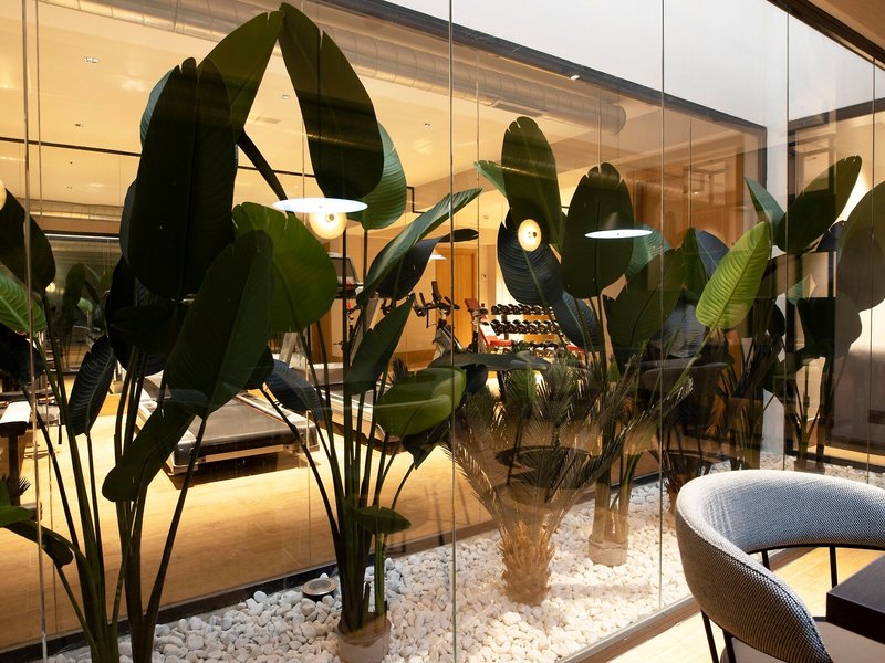 Goodnight Cadiz Apartments 9