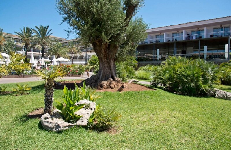 Beach Club Font de Sa Cala 3