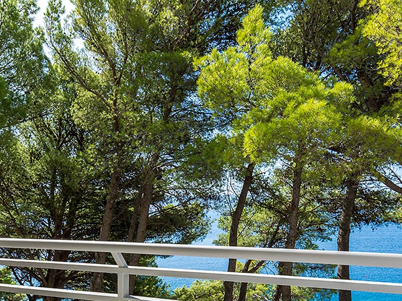 Apartments Sagitta