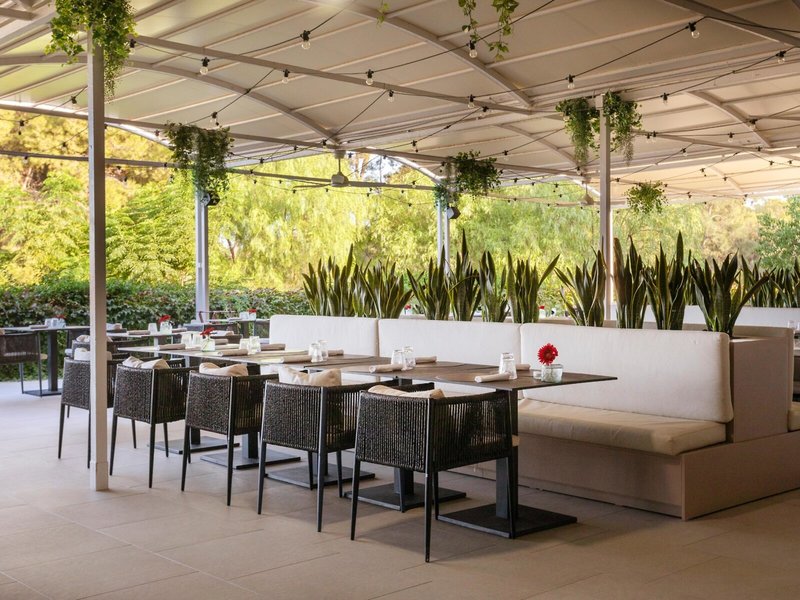 Mangia's Brucoli, Sicily, Autograph Collection 12