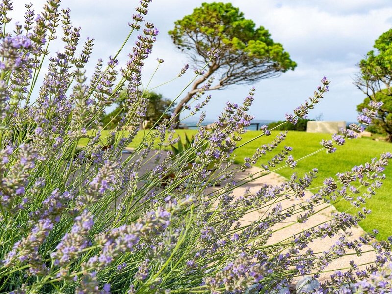 Centro Vacanze Isuledda 20