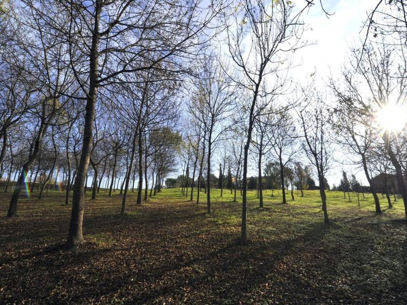 Il Podere Del Germano Reale 3