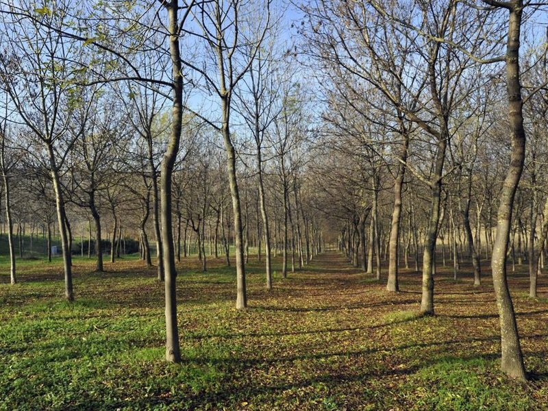 Il Podere Del Germano Reale 5