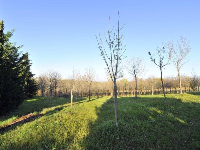 Il Podere Del Germano Reale 6