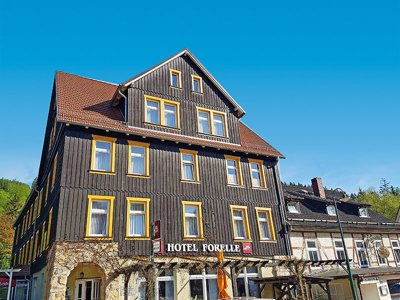 Ferienhotel Forelle 1