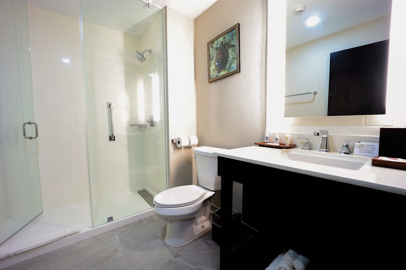 Comfort Inn & Suites 16