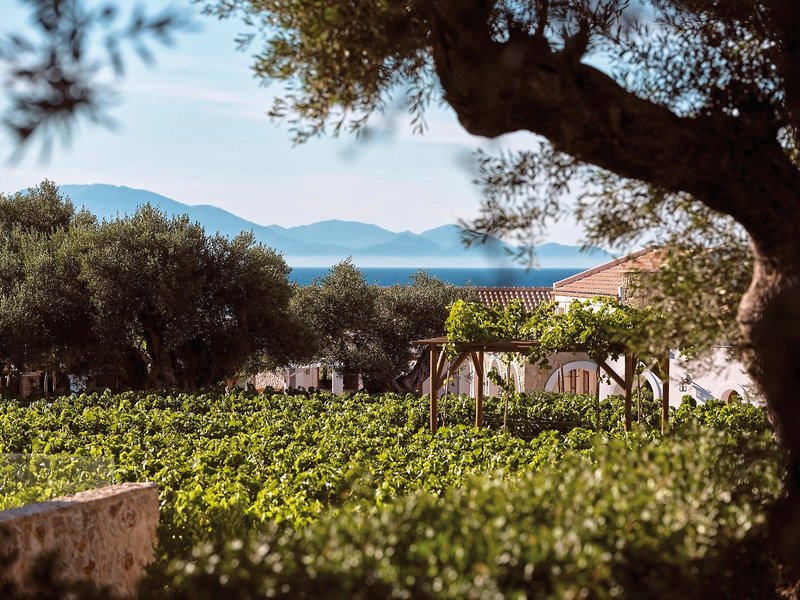 Lesante Cape Resort & Villas 6