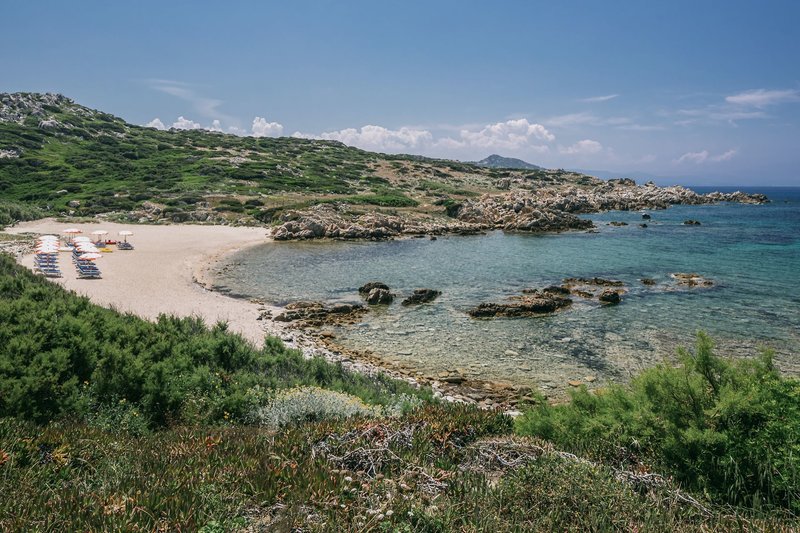 Mangia's Santa Teresa Sardinia, Curio Collection by Hilton 7
