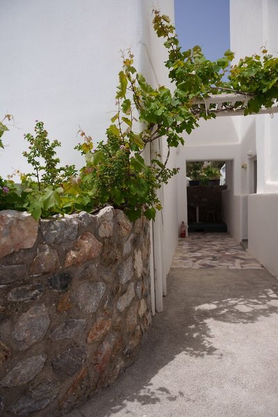 Sandy's Infinity Resort 33
