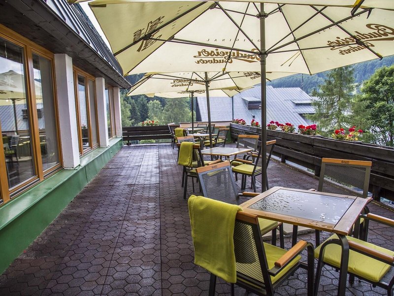 Parkhotel Harrachov 18