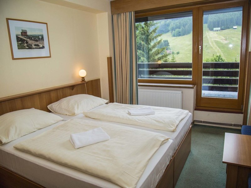 Parkhotel Harrachov 35