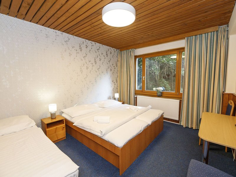 Parkhotel Harrachov 36
