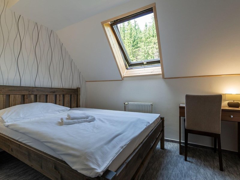Parkhotel Harrachov 40