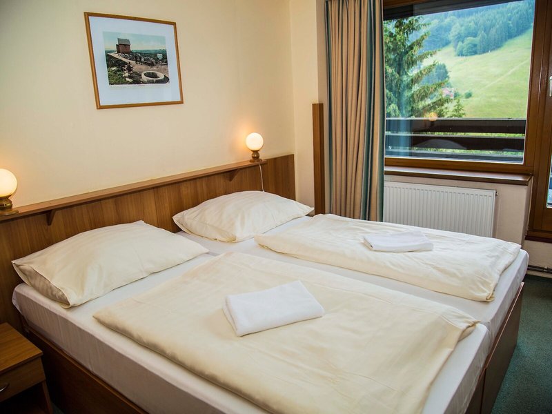 Parkhotel Harrachov 41