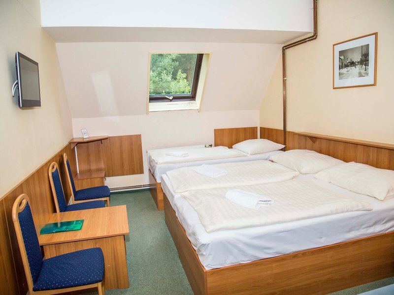 Parkhotel Harrachov 42
