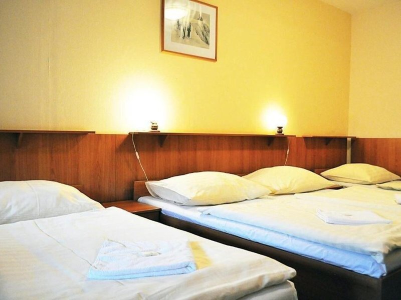 Parkhotel Harrachov 43