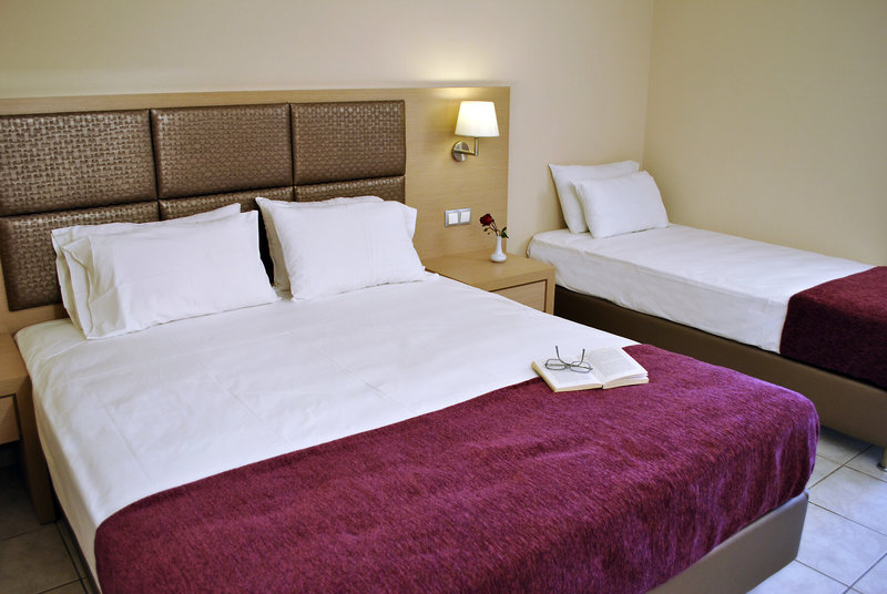 Hotel Plessas Palace 5