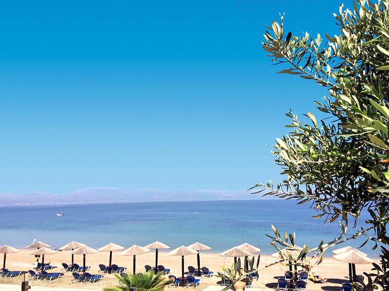 Club Hotel Casino Loutraki 5