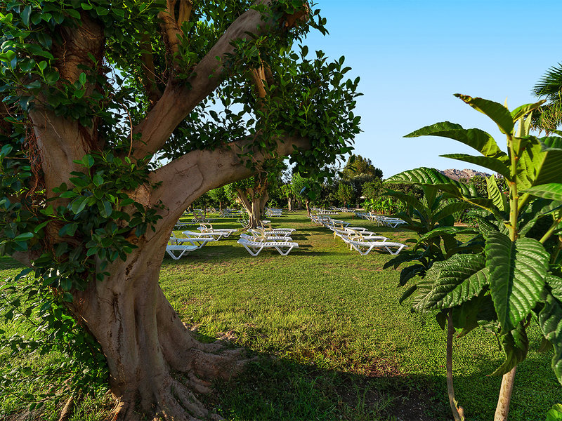 alltoura Club Hotel Irene Palace 24