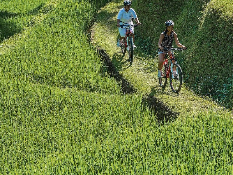 Four Seasons Resort Bali at Sayan Ubud 20