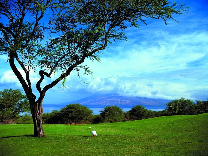 Four Seasons Resort Maui at Wailea 36