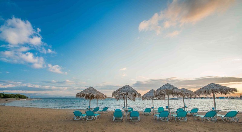 Oasis Beach Hotel & Spa 10