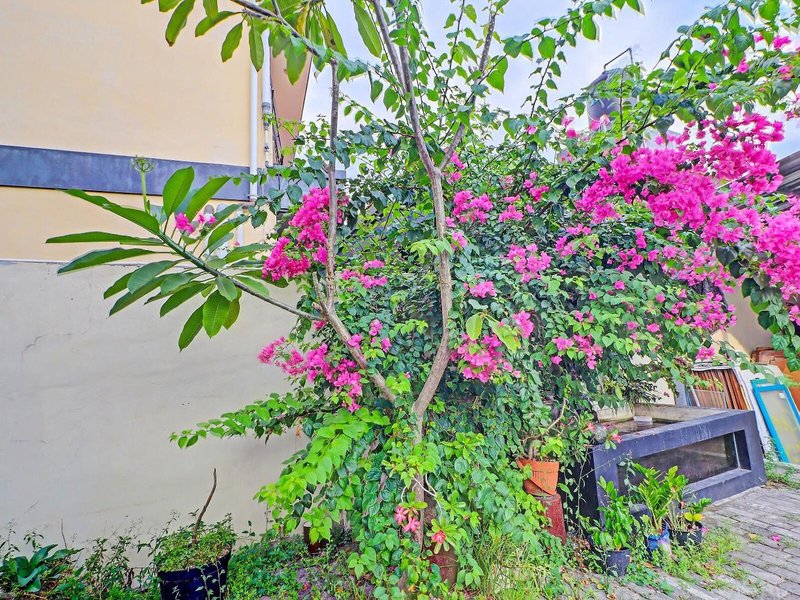 Guest House Simalem 6