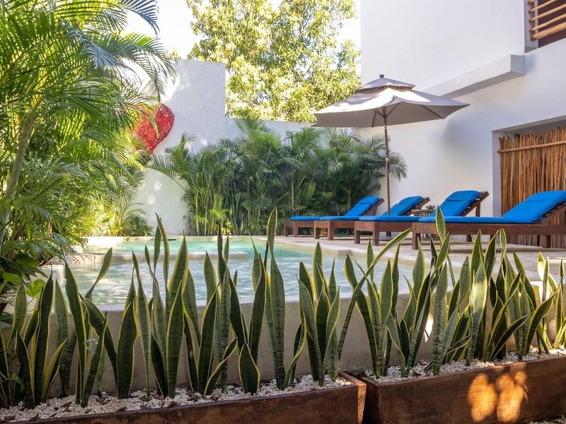 Kante Hotel - Downtown Tulum 6