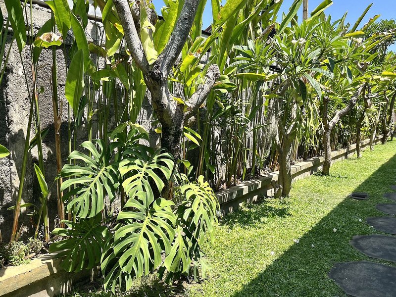 Mai Guesthouse Sanur 7