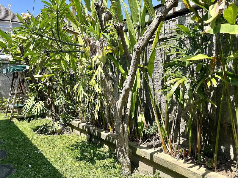 Mai Guesthouse Sanur 8