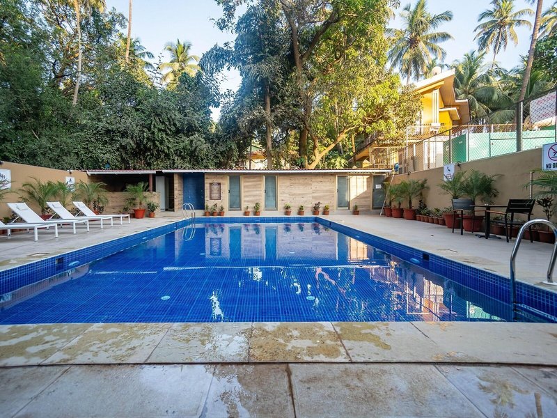 The Fern Residency Calangute 6