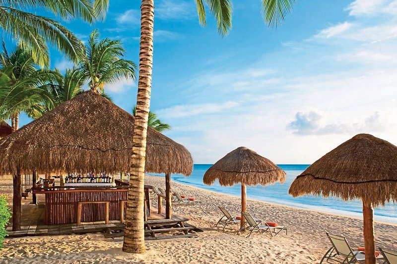 Dreams Cozumel Cape Resort & Spa 10