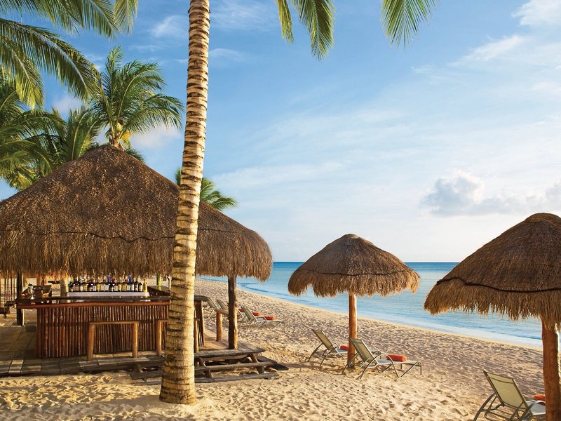 Dreams Cozumel Cape Resort & Spa 3