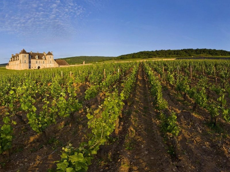 Hostellerie Le Cedre 5