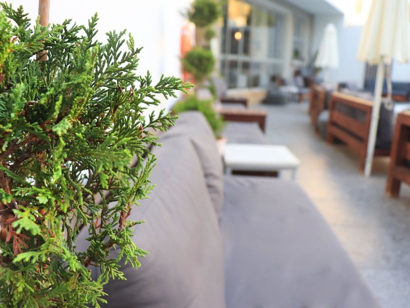 Continental Hotel Apartments 13