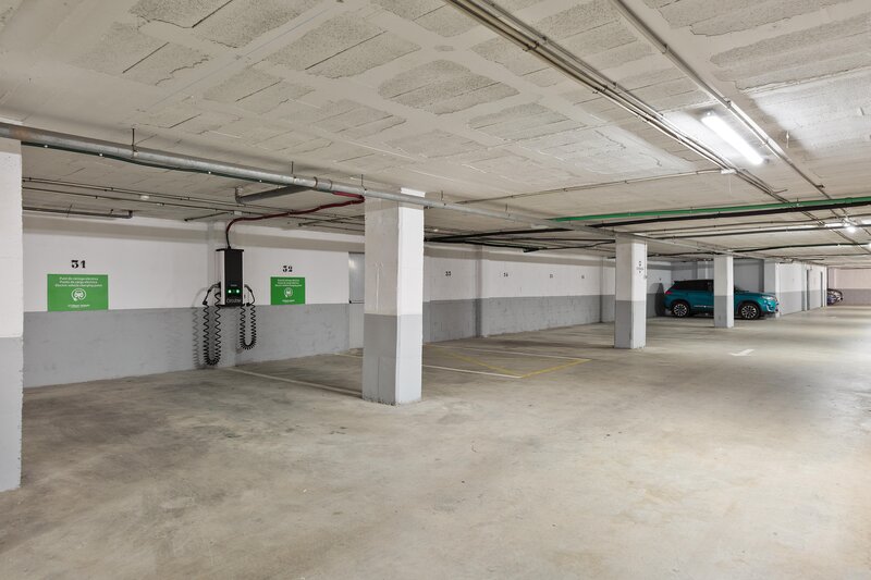 Best Punta Dorada 57