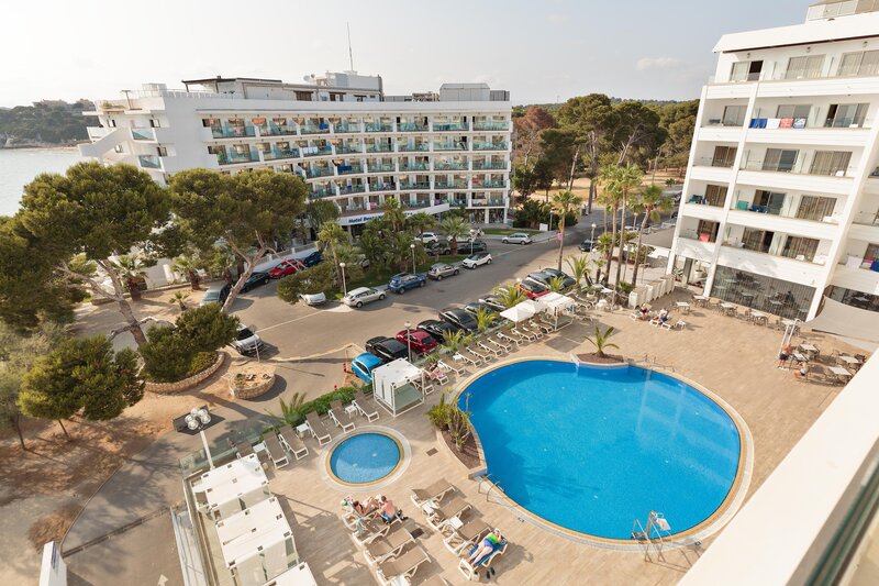 Best Punta Dorada 32