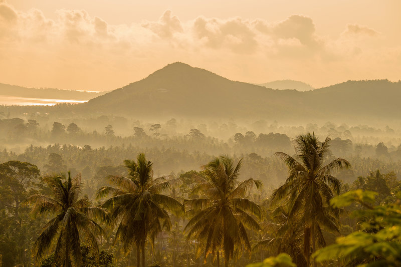 Kimpton Kitalay Samui 4