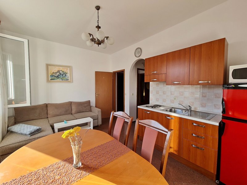 Apartments Damjanka 19