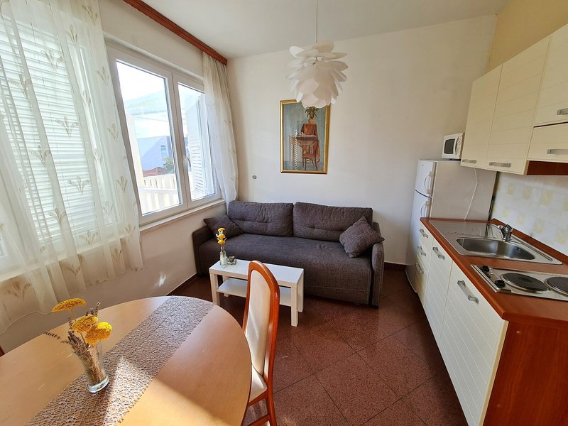 Apartments Damjanka 42