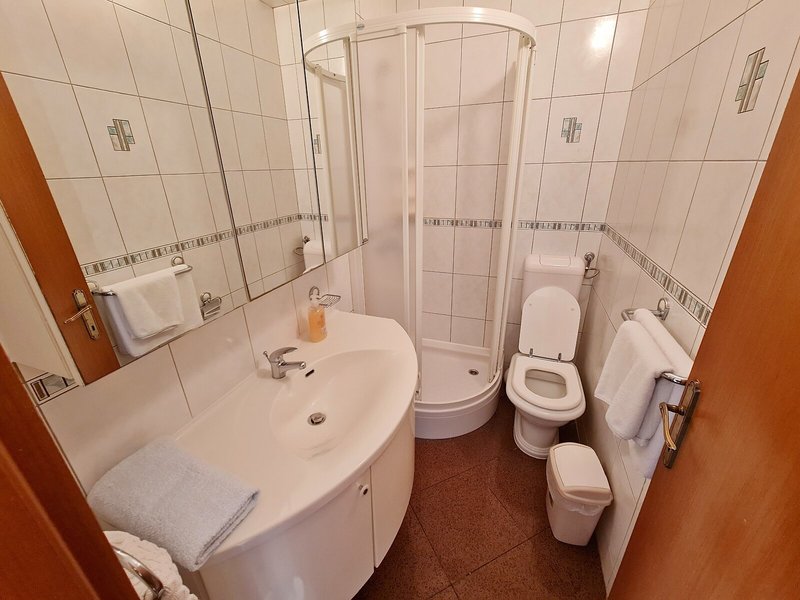 Apartments Damjanka 43