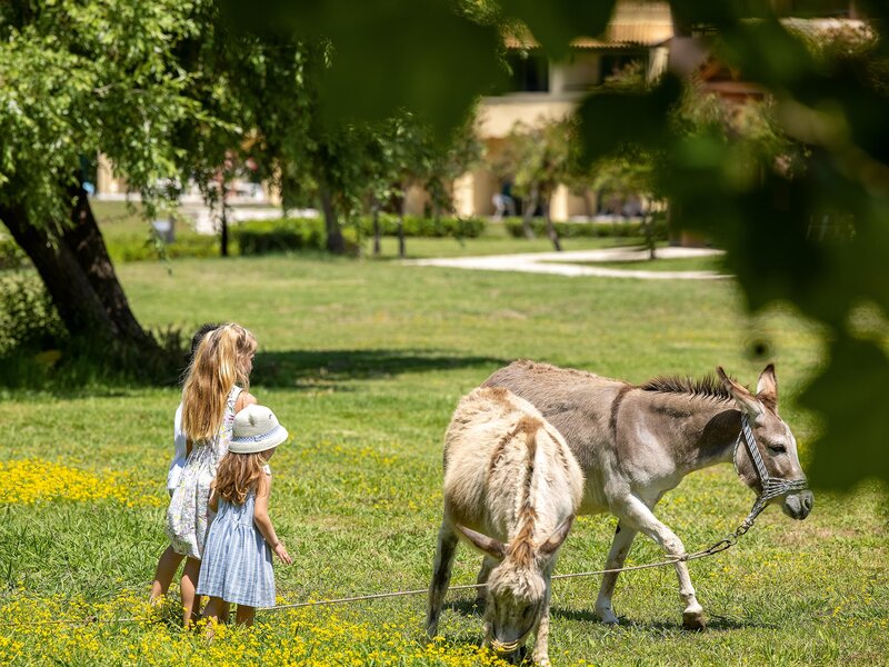 Grecotel LUXME Costa Botanica 212