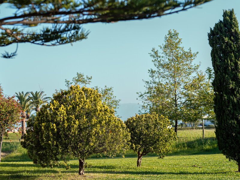 Grecotel LUXME Costa Botanica 185