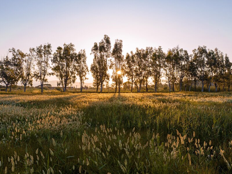 Grecotel LUXME Costa Botanica 188