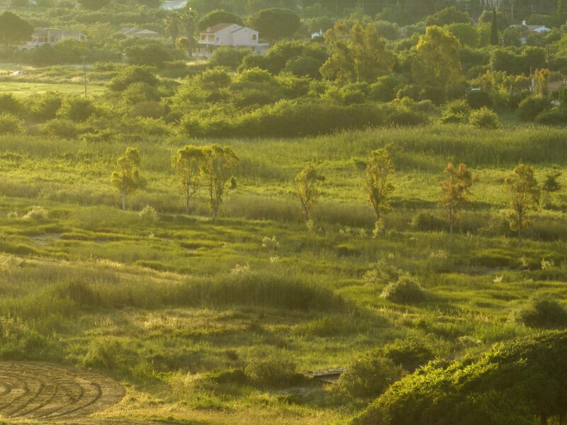 Grecotel LUXME Costa Botanica 202