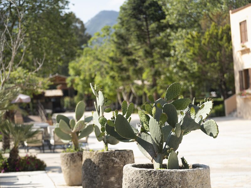 Grecotel LUXME Costa Botanica 125