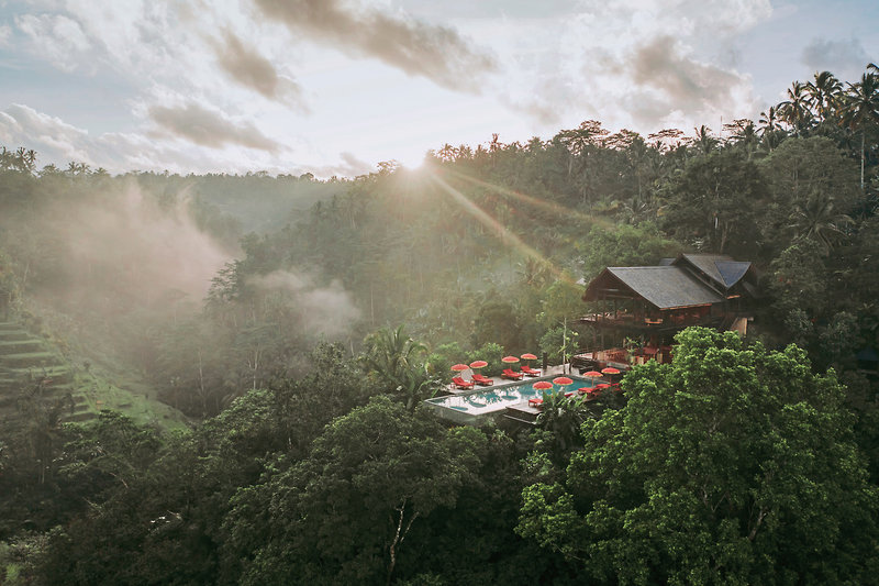 Buahan, A Banyan Tree Escape 14