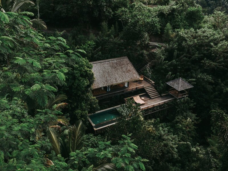 Buahan, A Banyan Tree Escape 18
