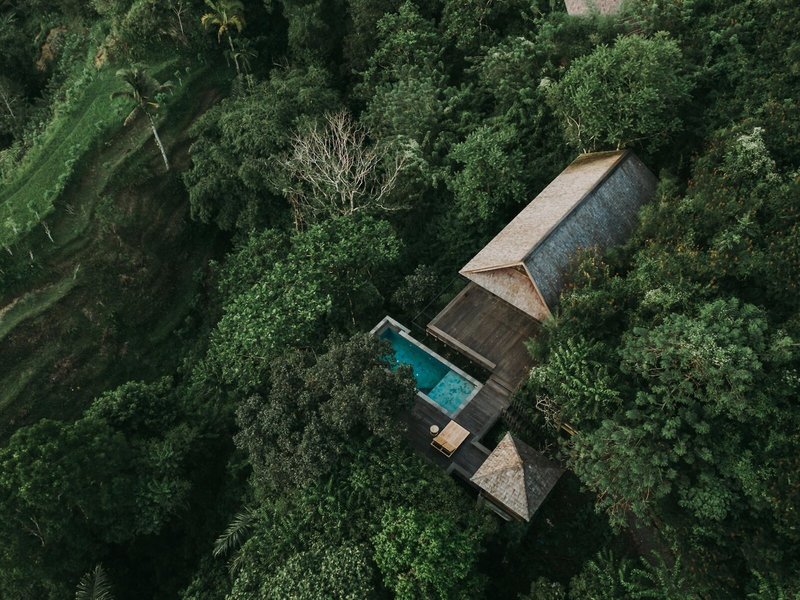 Buahan, A Banyan Tree Escape 35